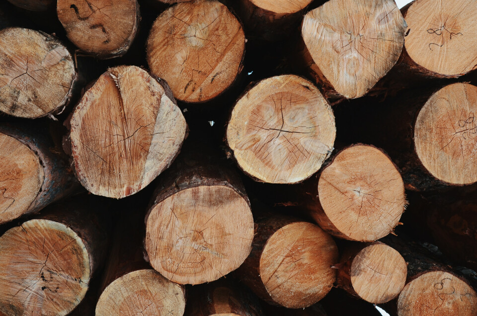 houtbouw-pexels.jpg