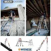 Multi Ladders.jpg